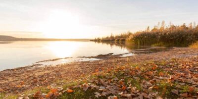 Herbst am Geiseltalsee – 2018