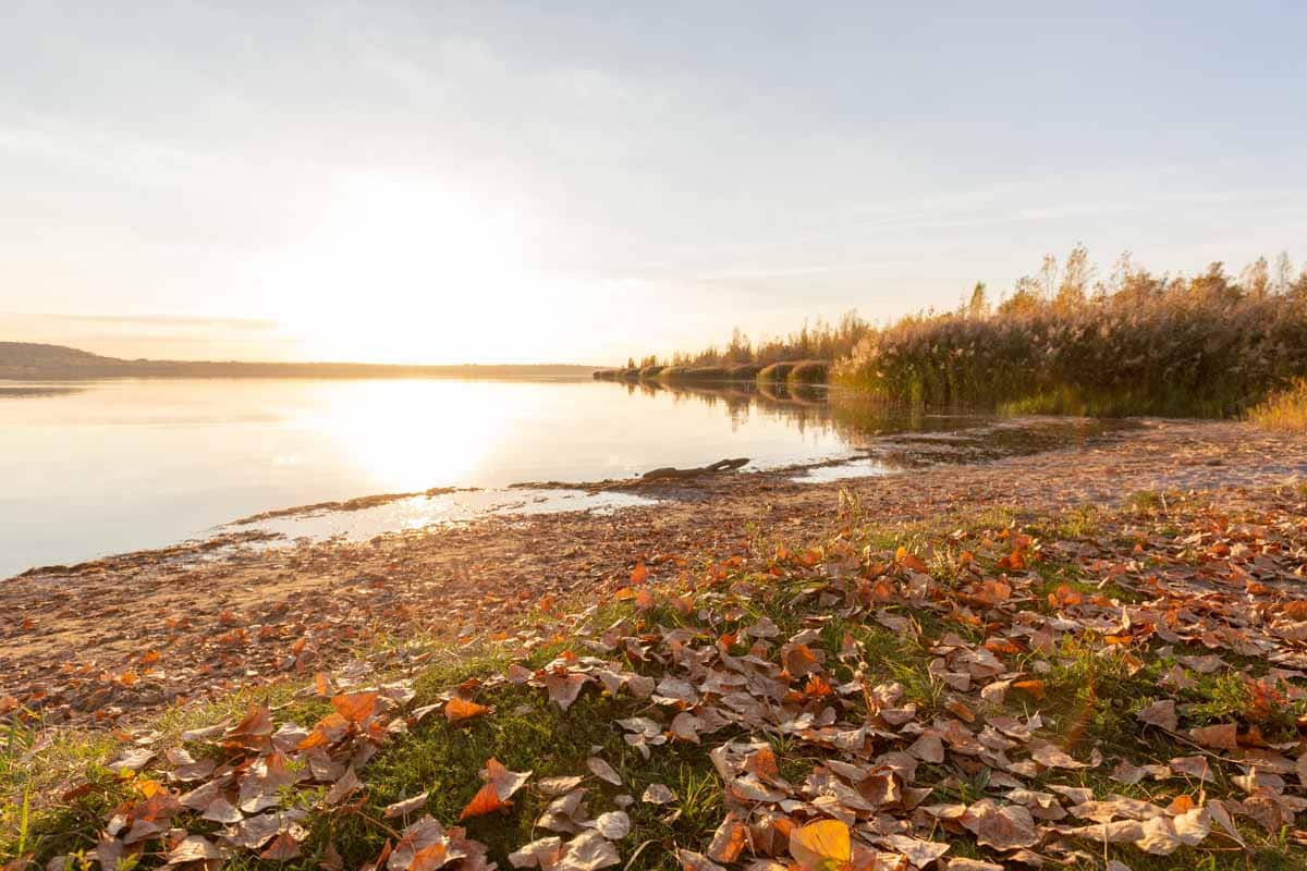 Herbst am Geiseltalsee – 2018