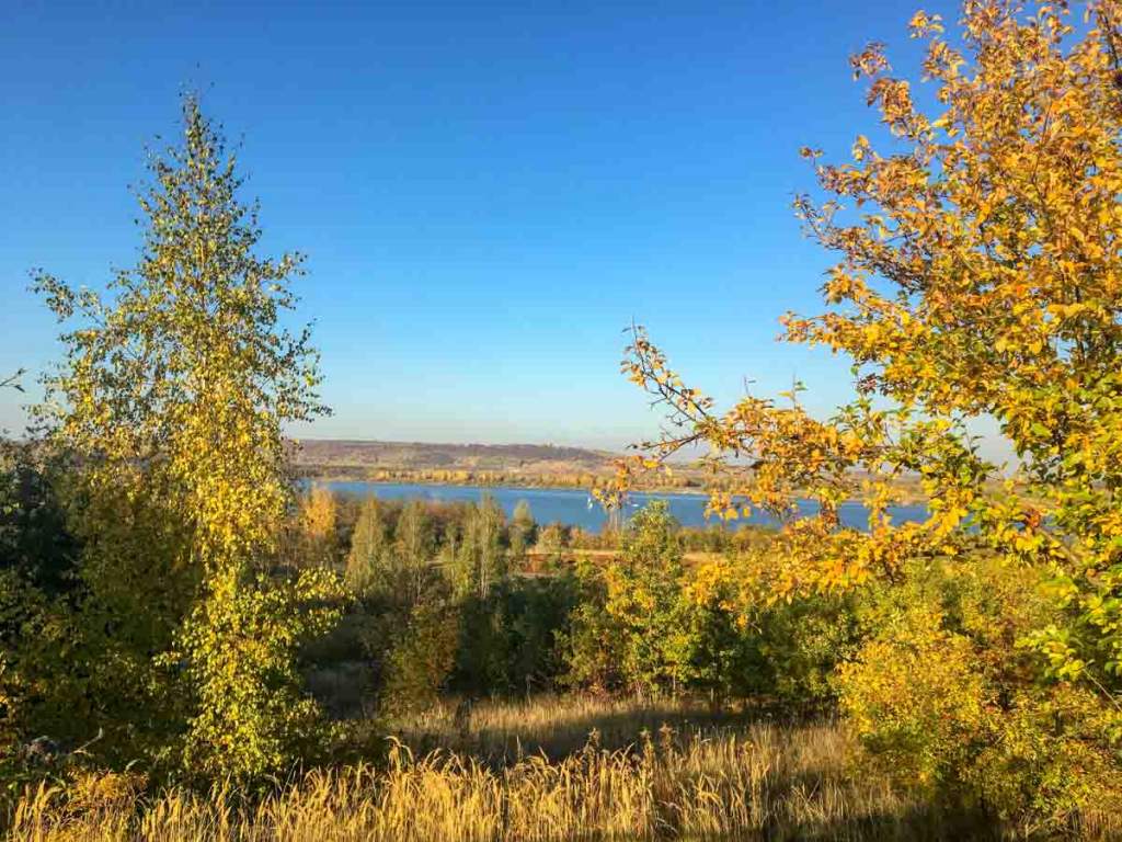 goldener Herbst am See