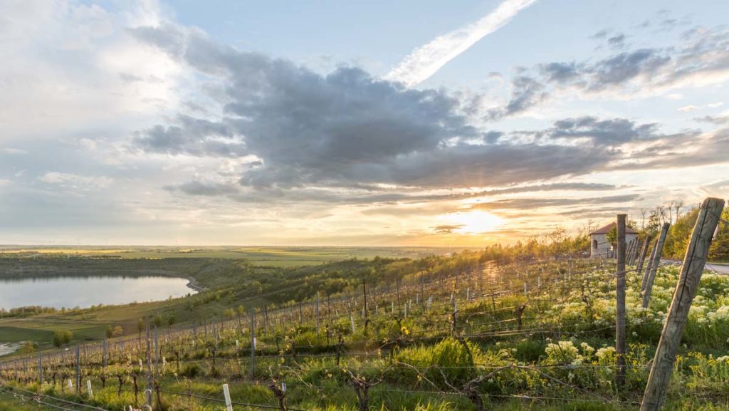 Sonnenuntergang am Geiseltalsee