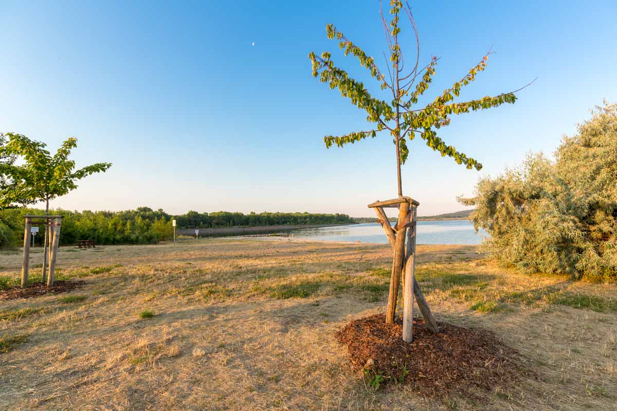 Strand in Frankleben