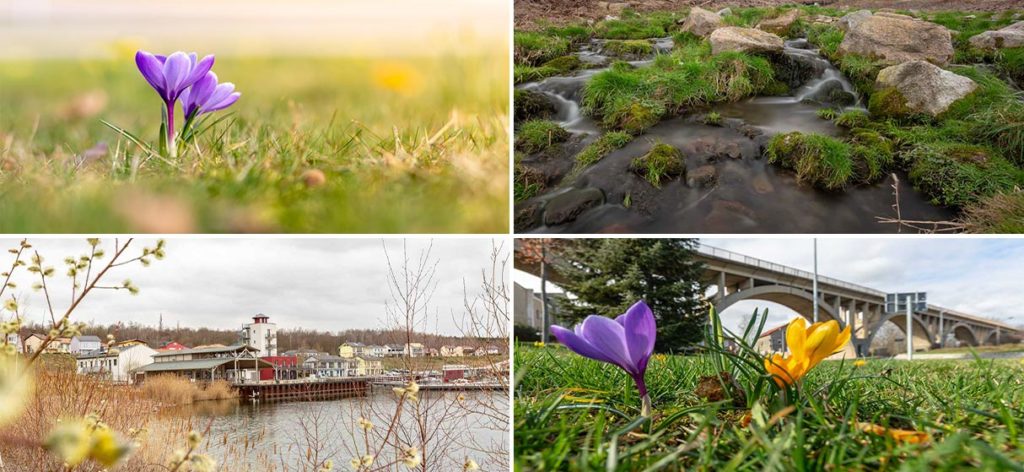 Auf der Suche nach dem Frühling