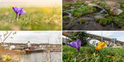 Auf der Suche nach dem Frühling