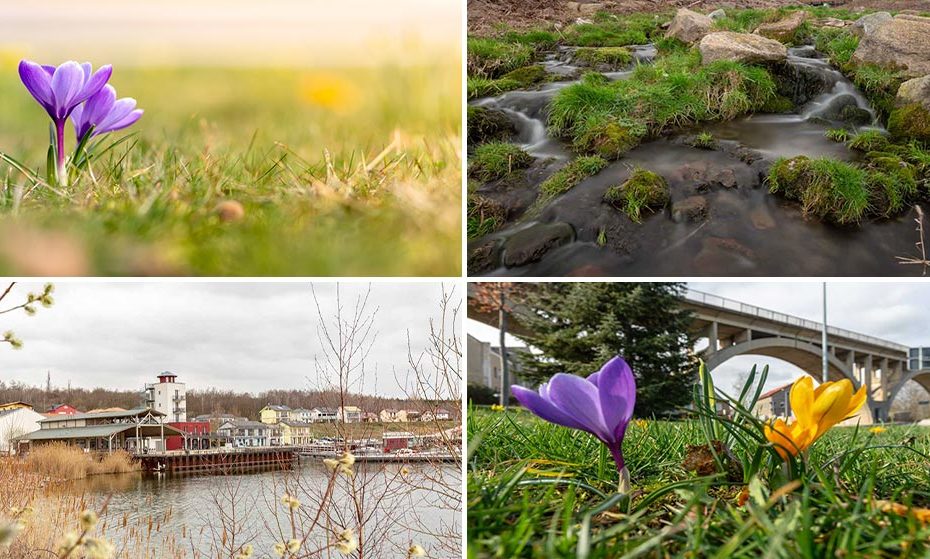 Auf der Suche nach dem Frühling