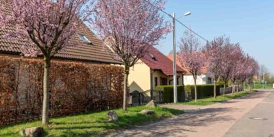 In Mücheln blüht es – April 2019