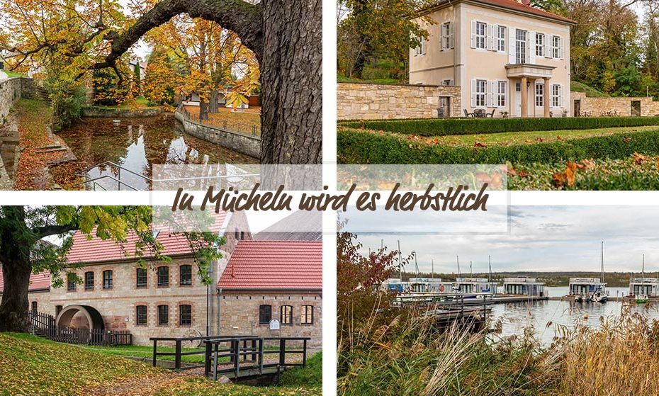 herbstliches Mücheln