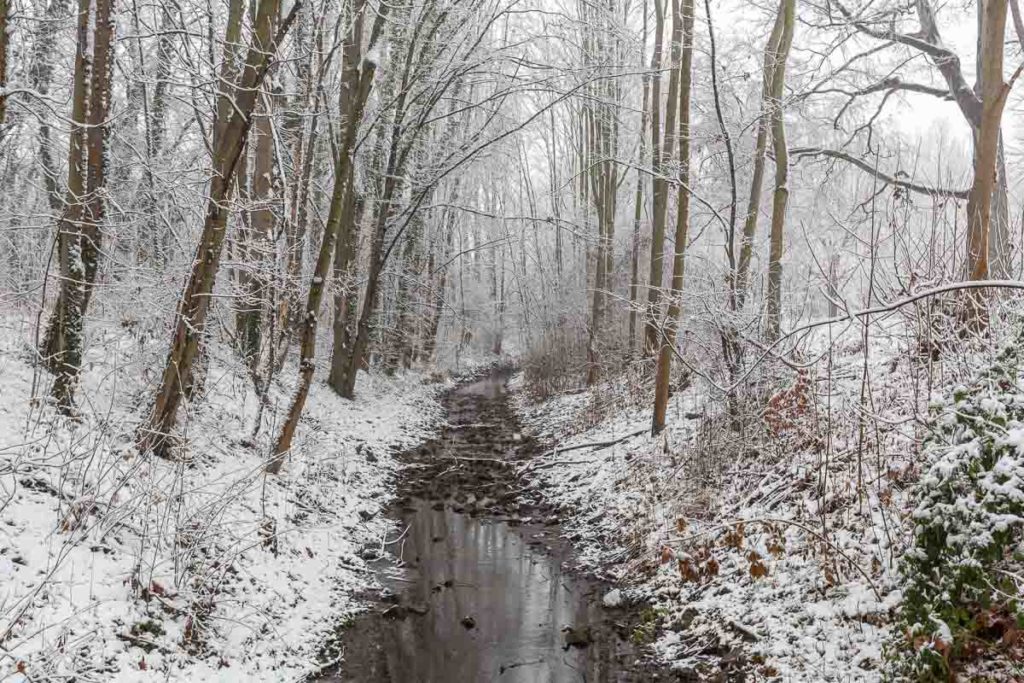 Bachlauf im Winter