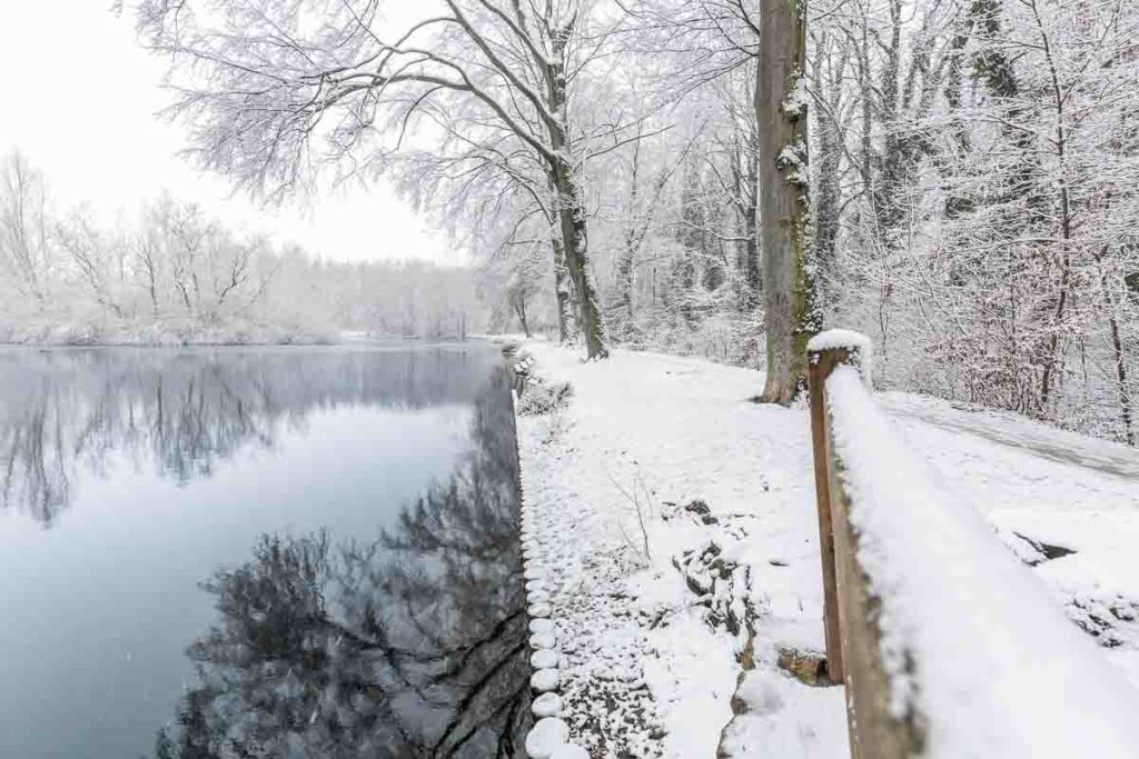 Mühlteich Spiegelung der Bäume