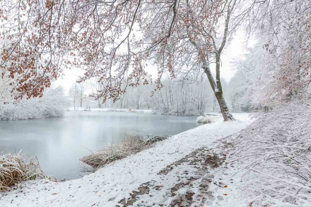 Schnee am Mรผhlteich Braunsbedra