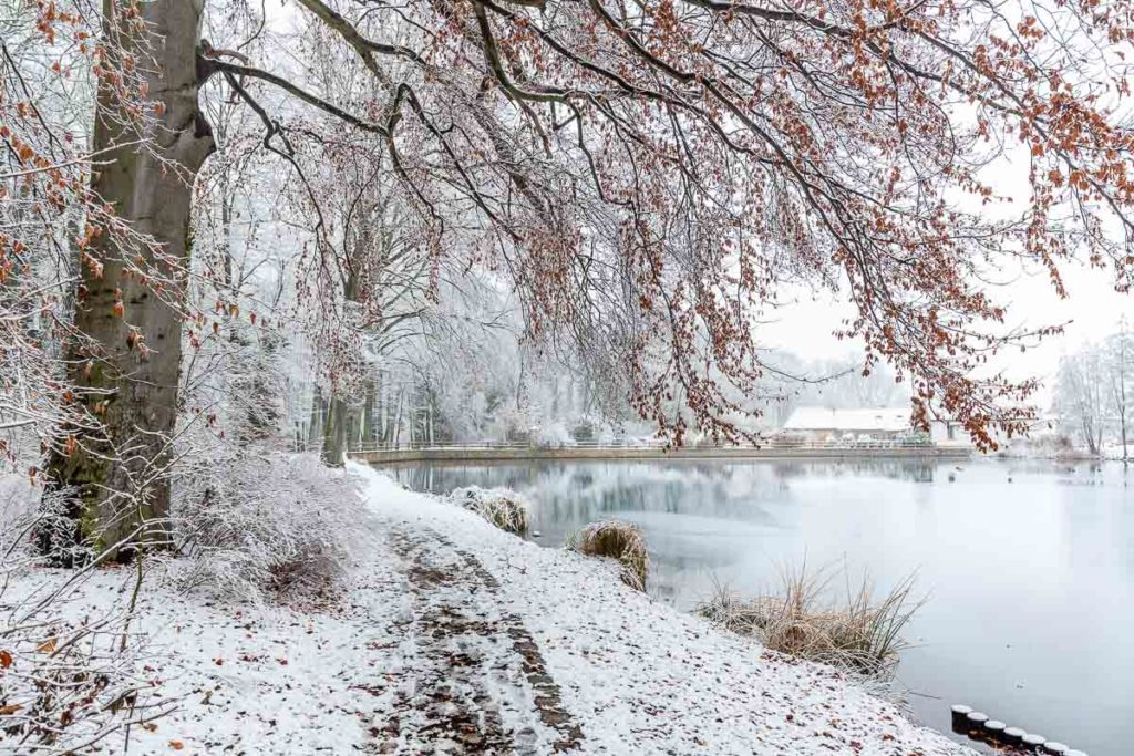 Schnee im Geiseltal