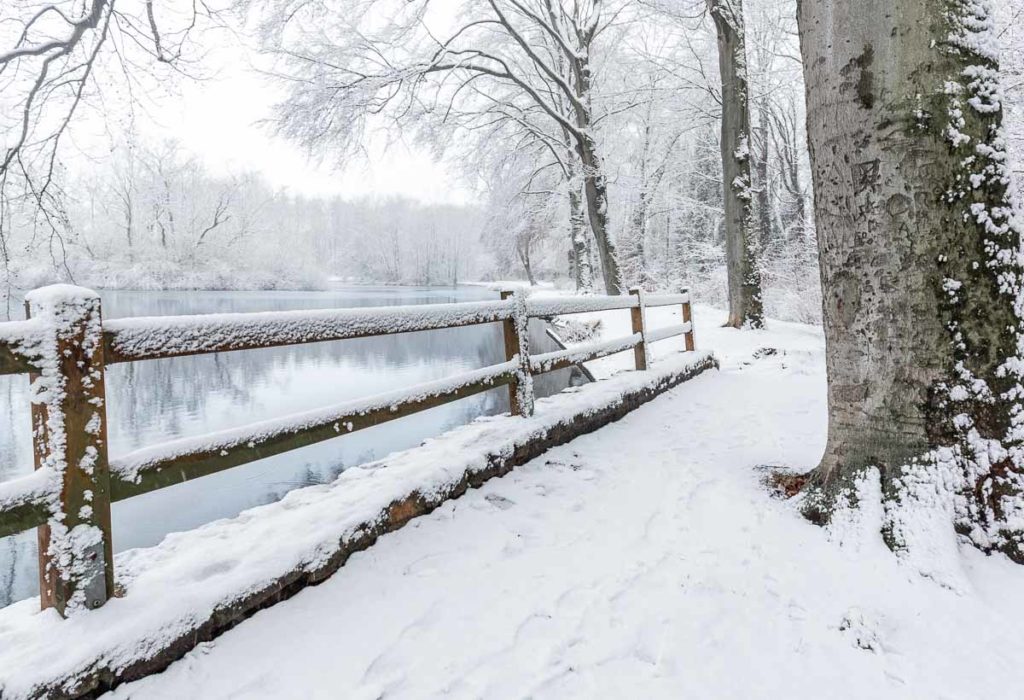 Schneebedeckte Landschaft mit Teich