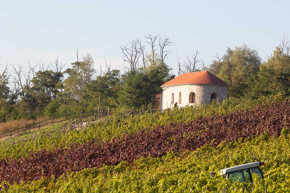 Weinbergkapelle