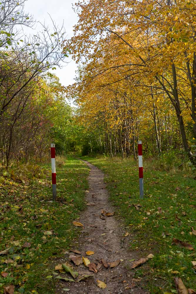 bunter Herbstwald