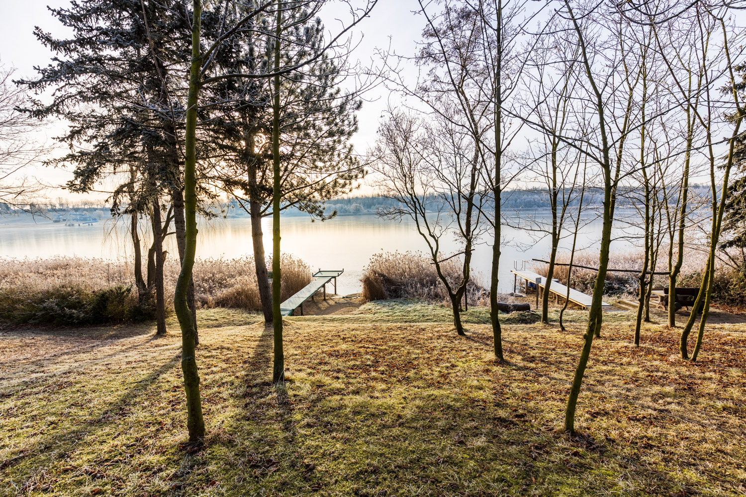 Frostiger Morgen am Hasse See in Roßbach