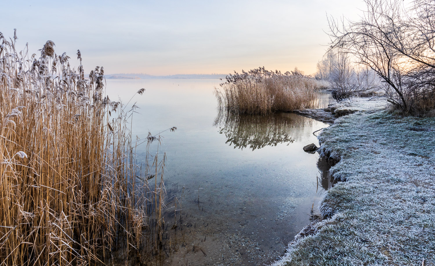 Geiseltalsee Ufer in Krumpa