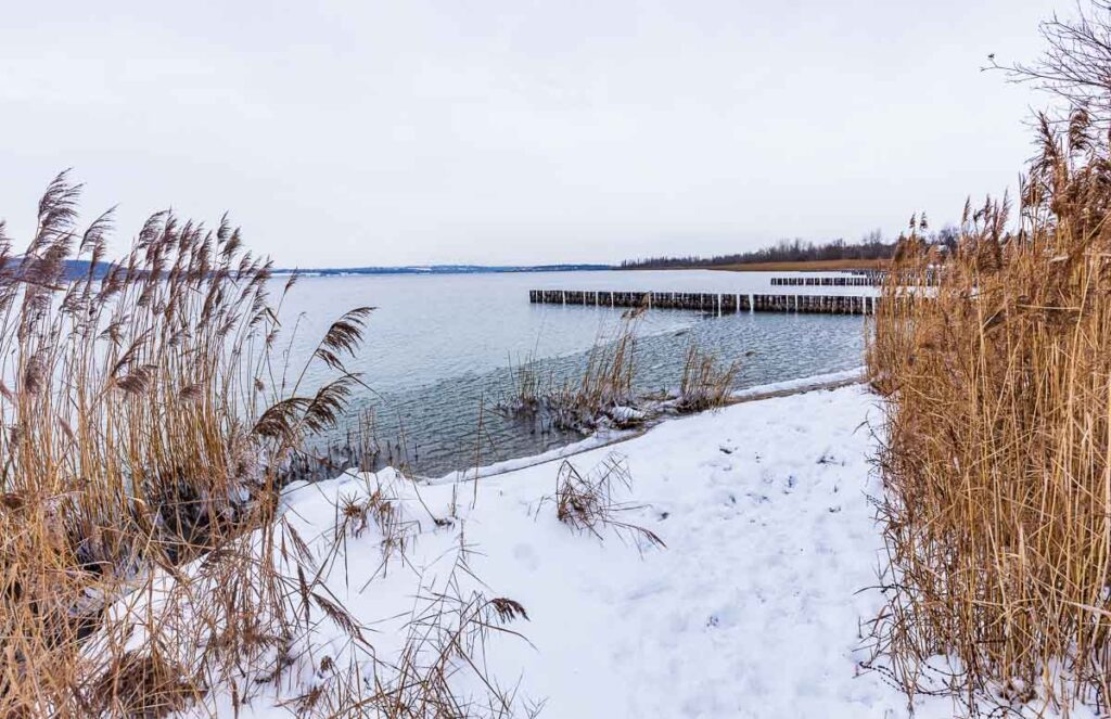 Geiseltalsee Strand im Winter