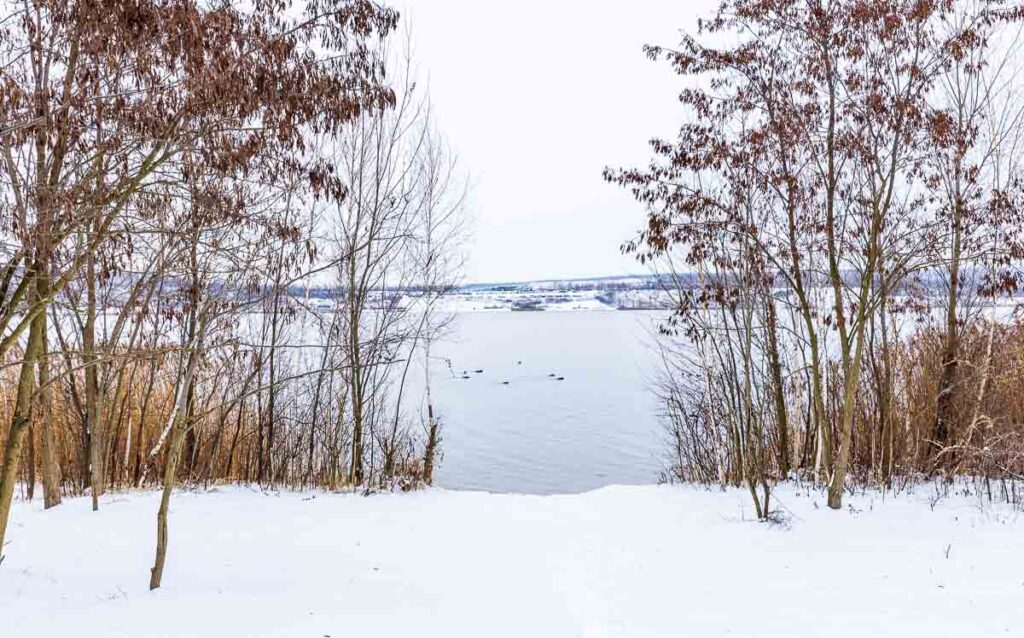 Winterliche Stimmung am Geiseltalsee