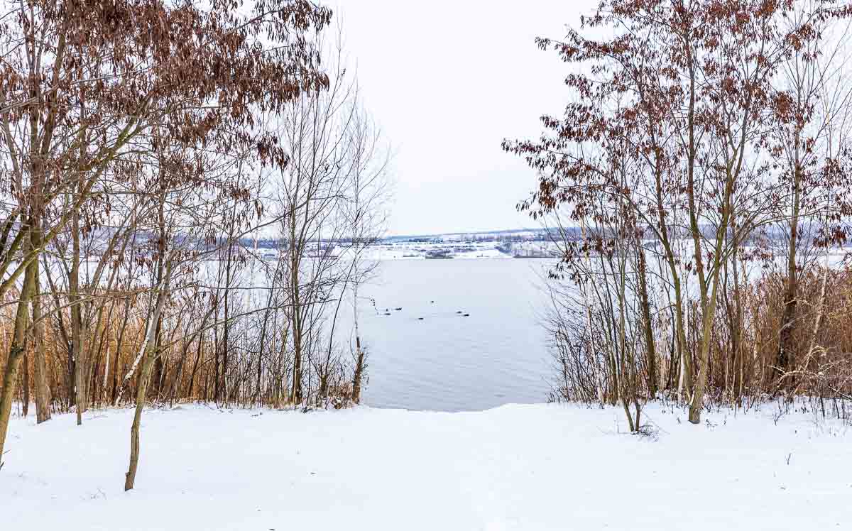 Winterliche Stimmung am Geiseltalsee