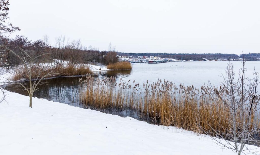 Das Geiseltalseeufer in Mücheln im Januar 2026