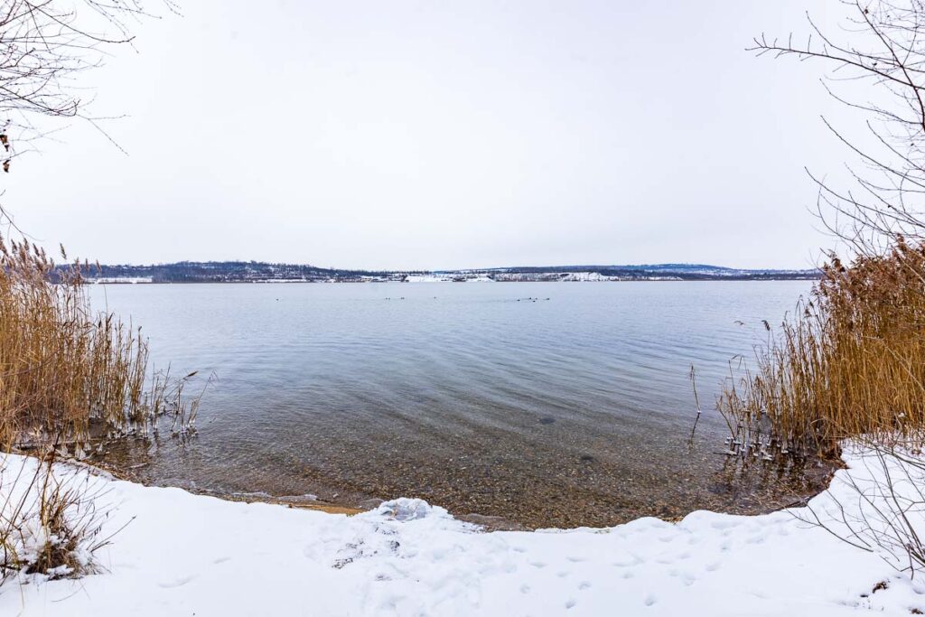 Winterliche Stille am Geiseltalsee in Mücheln Geiseltal