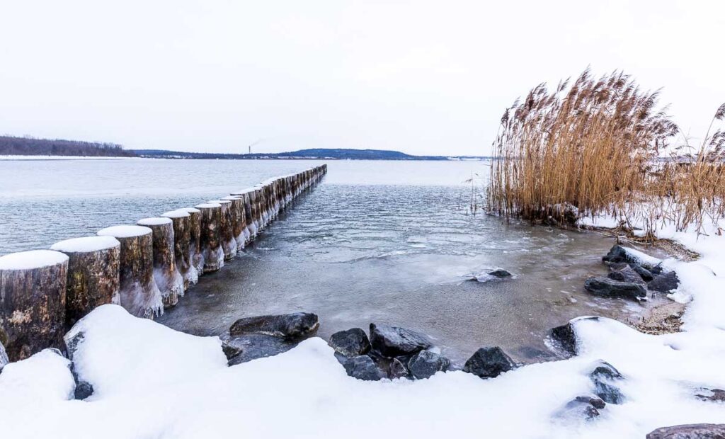 Teils gefrorenes Wasser am Geiseltalseeufer - Januar 2026