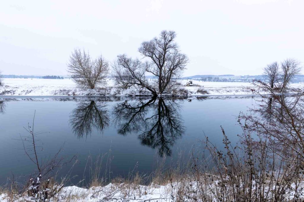 Saaleufer Spiegelung Winter