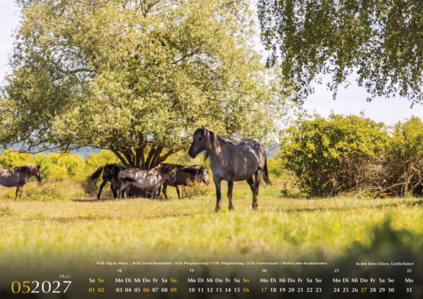 Naumburg im Blick - Kalender 2027
