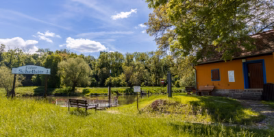 T1A3660 HDR